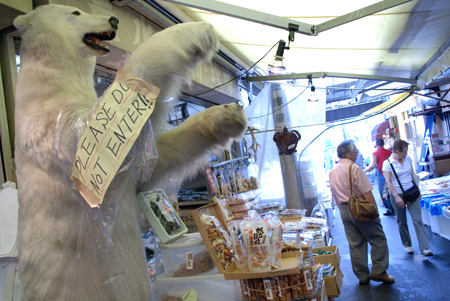 450px x 301px - tonymcnicol.com: Wild animals on the loose in Tsukiji