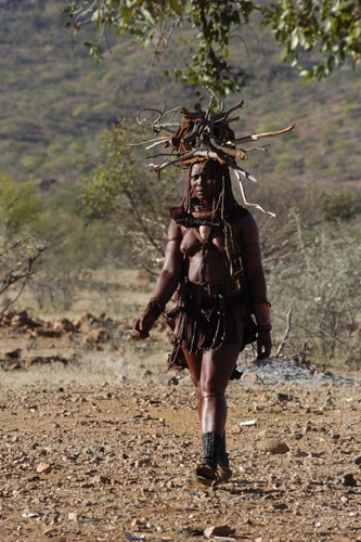 A Himba woman carrying firewood A Himba woman carrying firewood