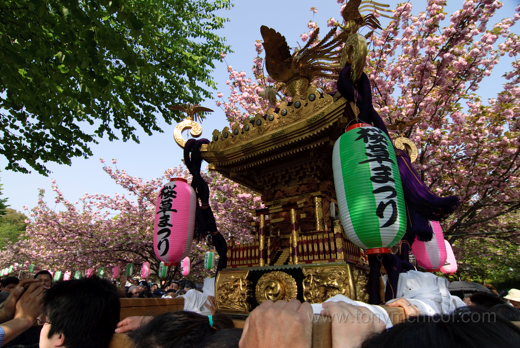 matsuri11 matsuri11