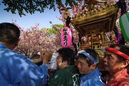matsuri2 matsuri2